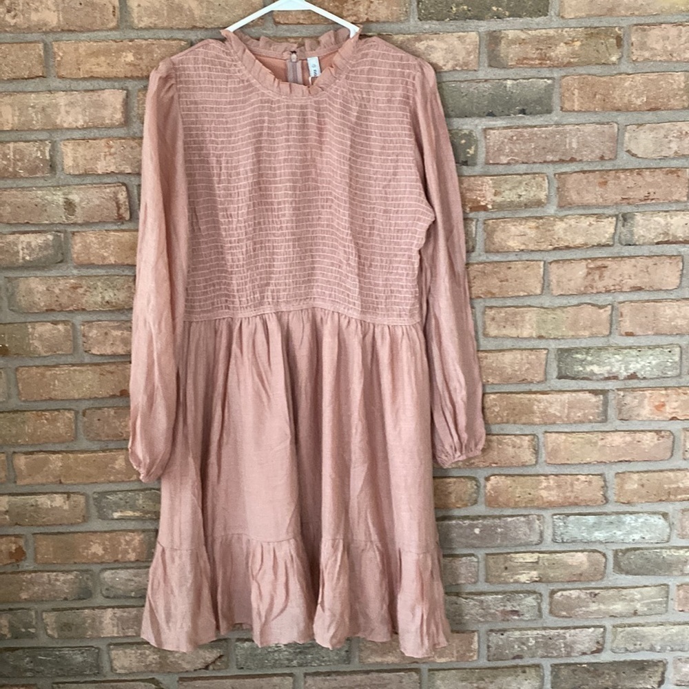 Chic Long Sleeve Blush Dress